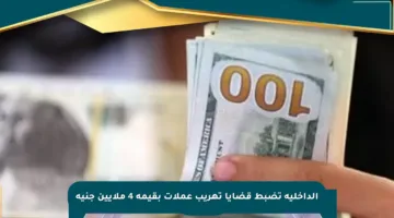 الداخلية تضبط قضايا تهريب عملات بقيمة 4 ملايين جنيه